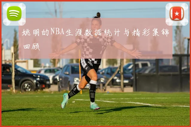姚明的NBA生涯数据统计与精彩集锦回顾